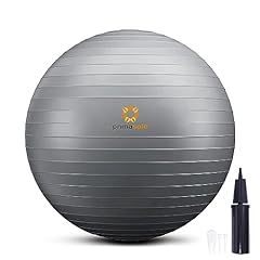 Primasole exercise ball for sale  Delivered anywhere in USA 