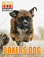 Boxers dog planner for sale  Delivered anywhere in UK