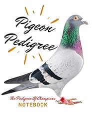 Pigeon pedigree handy for sale  Delivered anywhere in USA 