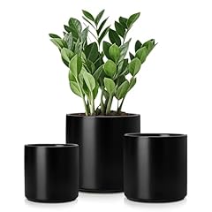 Vancasso ceramic plant for sale  Delivered anywhere in USA 