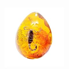 Amber fossil with usato  Spedito ovunque in Italia 