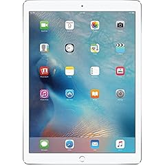 Apple ipad pro usato  Spedito ovunque in Italia 