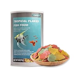 Ultrathin tropical fish for sale  Delivered anywhere in USA 