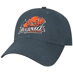 Barnesmith bucknell university for sale  Delivered anywhere in USA 