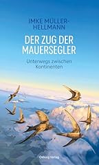 Zug mauersegler unterwegs gebraucht kaufen  Wird an jeden Ort in Deutschland