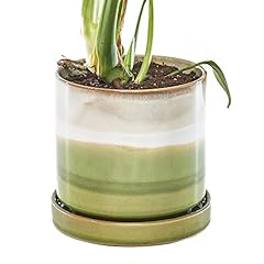 Chive minute ceramic for sale  Delivered anywhere in USA 