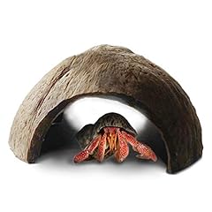 Sungrow hermit crab for sale  Delivered anywhere in UK