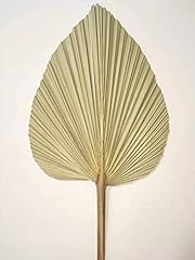 Feuilles palmier séchées d'occasion  Livré partout en France