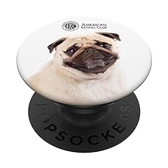 Akc pug photo for sale  Delivered anywhere in USA 
