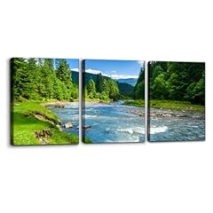 Pacimo landscape canvas for sale  Delivered anywhere in USA 