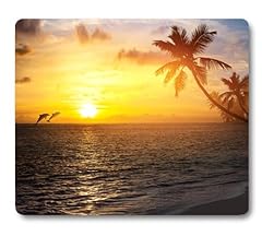 Wknoon palm trees for sale  Delivered anywhere in USA 