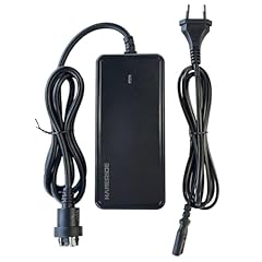 Haneride caricatore per usato  Spedito ovunque in Italia 