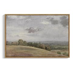 Insimsea framed canvas for sale  Delivered anywhere in USA 