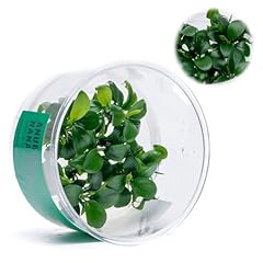 Ultum nature systems for sale  Delivered anywhere in USA 