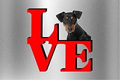 German pinscher love for sale  Delivered anywhere in USA 