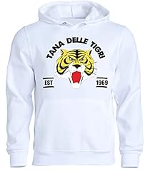 Felpa con cappuccio usato  Spedito ovunque in Italia 