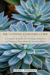 Ultimate echeveria guide for sale  Delivered anywhere in UK