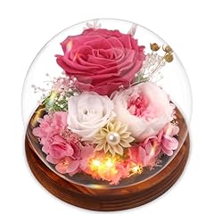 Gifts mother preserved for sale  Delivered anywhere in UK