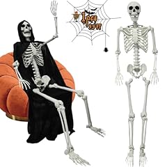 Life size skeleton for sale  Delivered anywhere in USA 