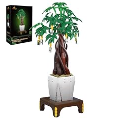 Jmbricklayer bonsai tree for sale  Delivered anywhere in USA 