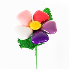 Margherita arcobaleno fiore usato  Spedito ovunque in Italia 