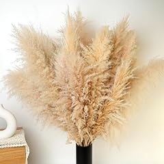 Pcs tall pampas for sale  Delivered anywhere in USA 