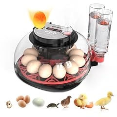 Sylvansparkkitchen incubators  for sale  Delivered anywhere in USA 