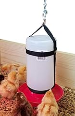 Happy chicks pack for sale  Delivered anywhere in USA 
