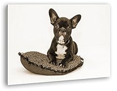 Deyoli bouledogue splendide d'occasion  Livré partout en France