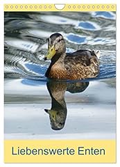 Liebenswerte enten calvendo gebraucht kaufen  Wird an jeden Ort in Deutschland