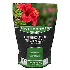 Southerngro hibiscus tropical for sale  Delivered anywhere in USA 