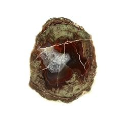 Lithophyse 147.0 carats d'occasion  Livré partout en Belgiqu