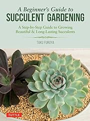 Beginner guide succulent for sale  Delivered anywhere in USA 
