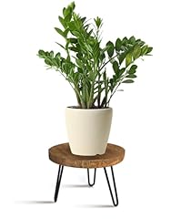 Obtain plant stand for sale  Delivered anywhere in USA 