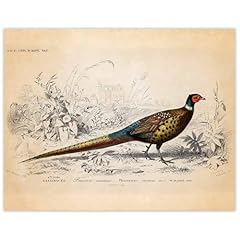 Vintage pheasant poster for sale  Delivered anywhere in USA 