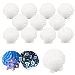 Iopjlk coquilles saint d'occasion  Livré partout en Belgiqu