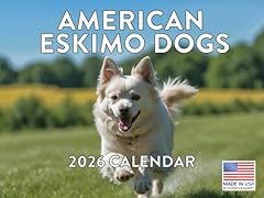 American eskimo calendar for sale  Delivered anywhere in USA 