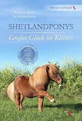 Shetlandponys großes glück gebraucht kaufen  Wird an jeden Ort in Deutschland