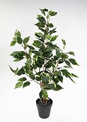 Seidenblumen roß ficus gebraucht kaufen  Wird an jeden Ort in Deutschland