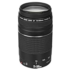 Canon 300mm 5.6 for sale  Delivered anywhere in USA 