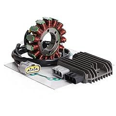 Topteng magneto stator usato  Spedito ovunque in Italia 