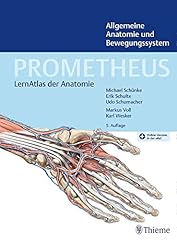 Prometheus allgemeine anatomie gebraucht kaufen  Wird an jeden Ort in Deutschland