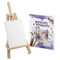 Imparare dipingere libro usato  Spedito ovunque in Italia 