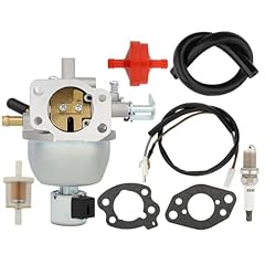 Honeyrain 847395 carburetor for sale  Delivered anywhere in USA 