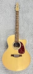 Seagull chitarra acustica usato  Spedito ovunque in Italia 