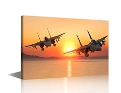 Grumman tomcat fighter for sale  Delivered anywhere in USA 