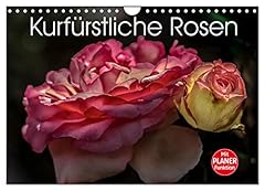 Kurfürstliche rosen eltville gebraucht kaufen  Wird an jeden Ort in Deutschland