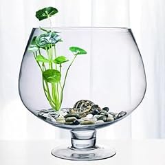 Besportble glass fish for sale  Delivered anywhere in USA 