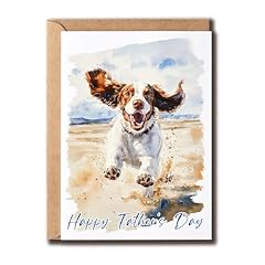 Mabsdesigns springer spaniel for sale  Delivered anywhere in USA 