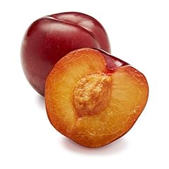 Red plum for sale  Delivered anywhere in USA 